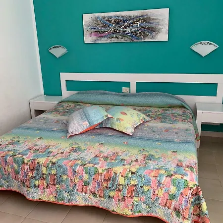 Fuerteventura Bouganville *