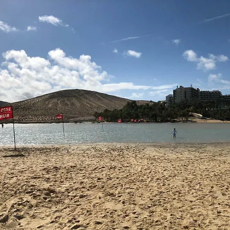 Fuerteventura Bouganville *