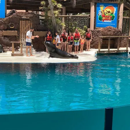 Fuerteventura Bouganville * コスタ・デ・アンティグア