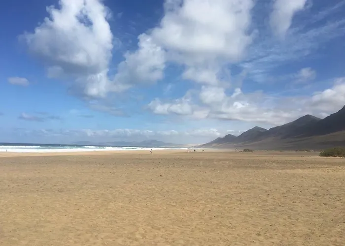 Fuerteventura Bouganville