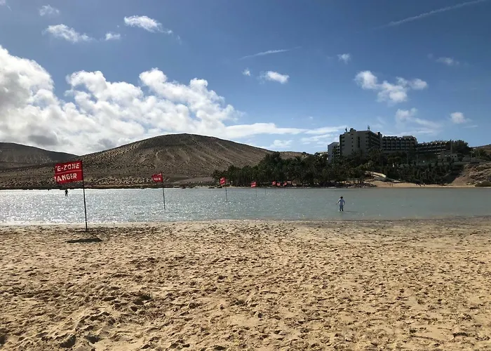 Fuerteventura Bouganville *