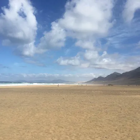 Fuerteventura Bouganville